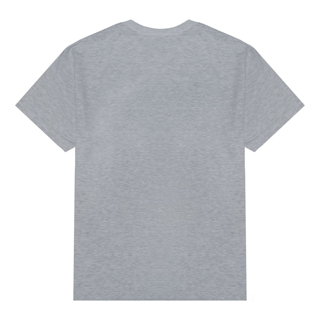 Alien Workshop Wake The Sheeple T-Shirt - Heather Grey
