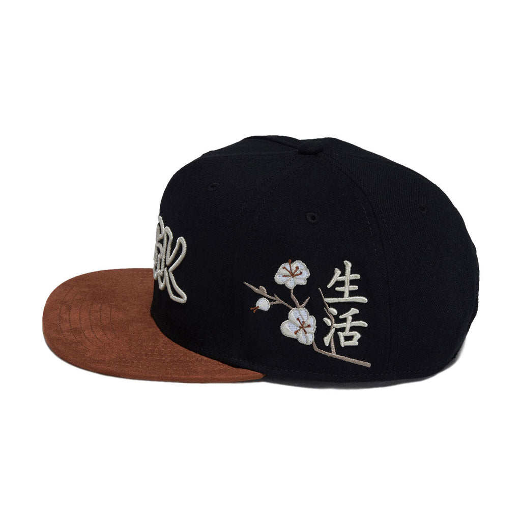 DGK Zion Snapback Hat - Black