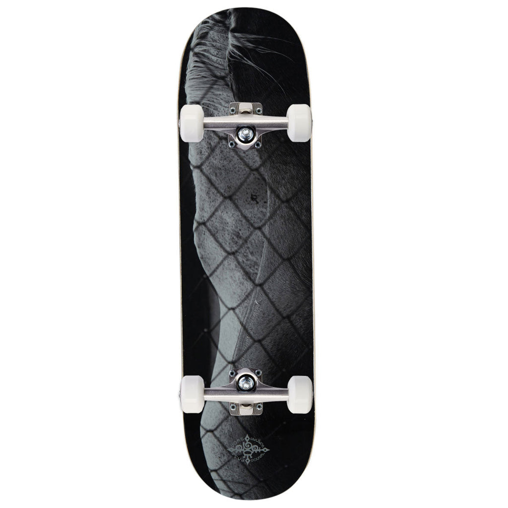 Passport D.G Series Steed Skateboard Complete - 8.50"