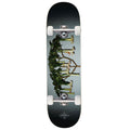 Passport D.G Series Angel Trumpets Skateboard Complete - 8.50"