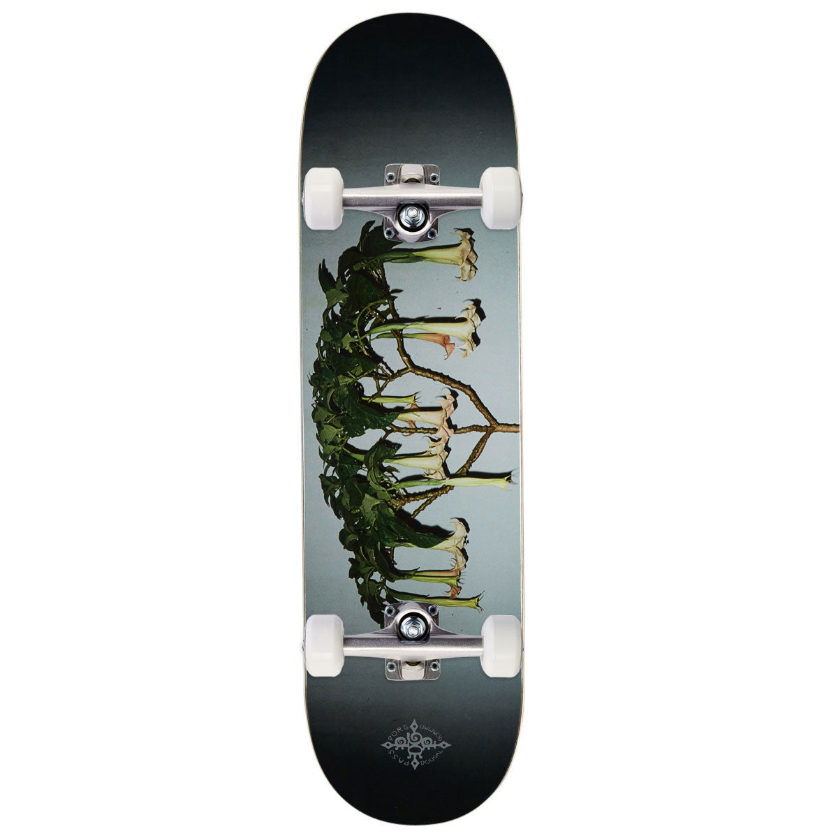 Passport D.G Series Angel Trumpets Skateboard Complete - 8.50"