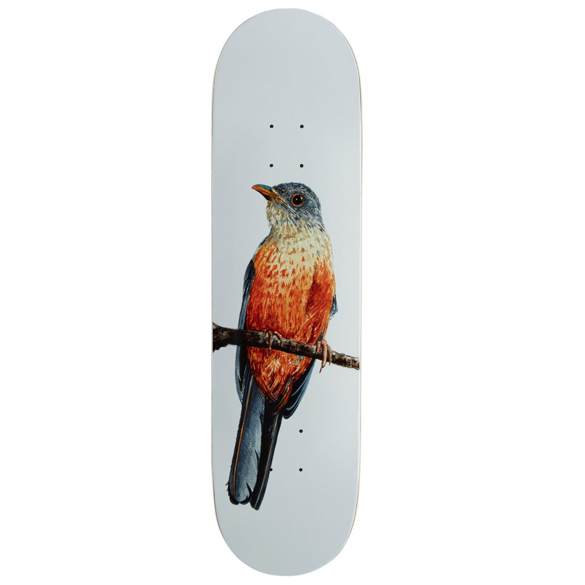 Deathwish Yuri Sabia-Laranjeira Facchini Skateboard Deck - 8.125"