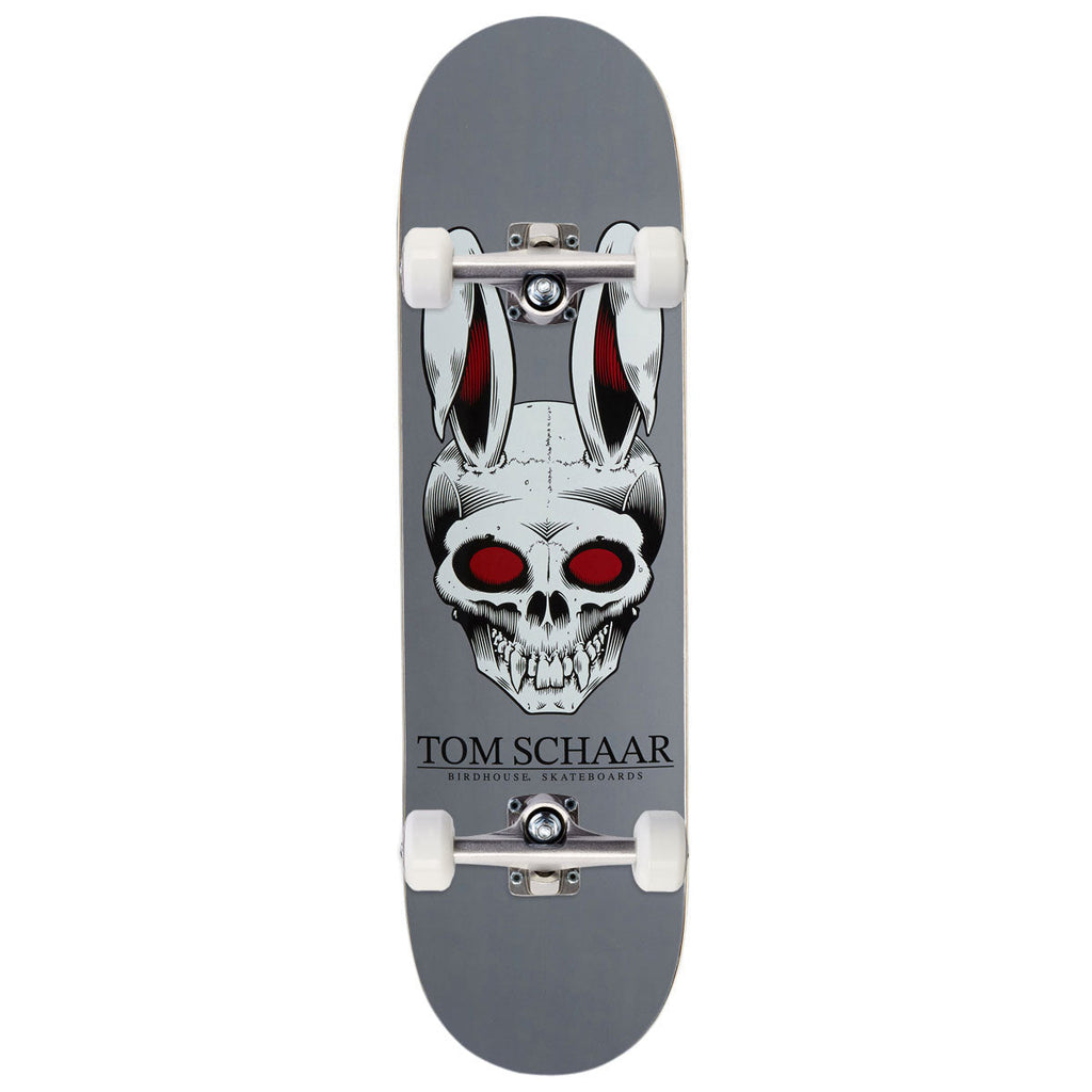 Birdhouse Tom Scharr Rabbit Skull Skateboard Complete - 8.38"