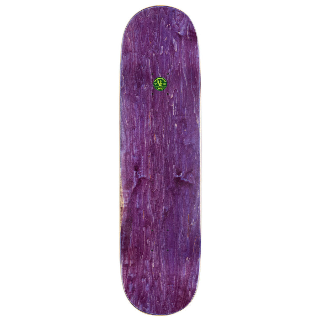 Pylon Plywood Skateboard Complete - 8.625"