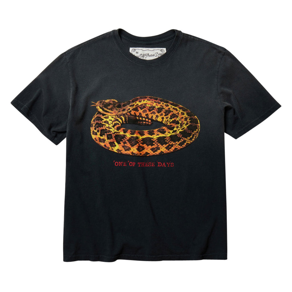 One Of These Days Rattler T-Shirt - Sun Faded Black